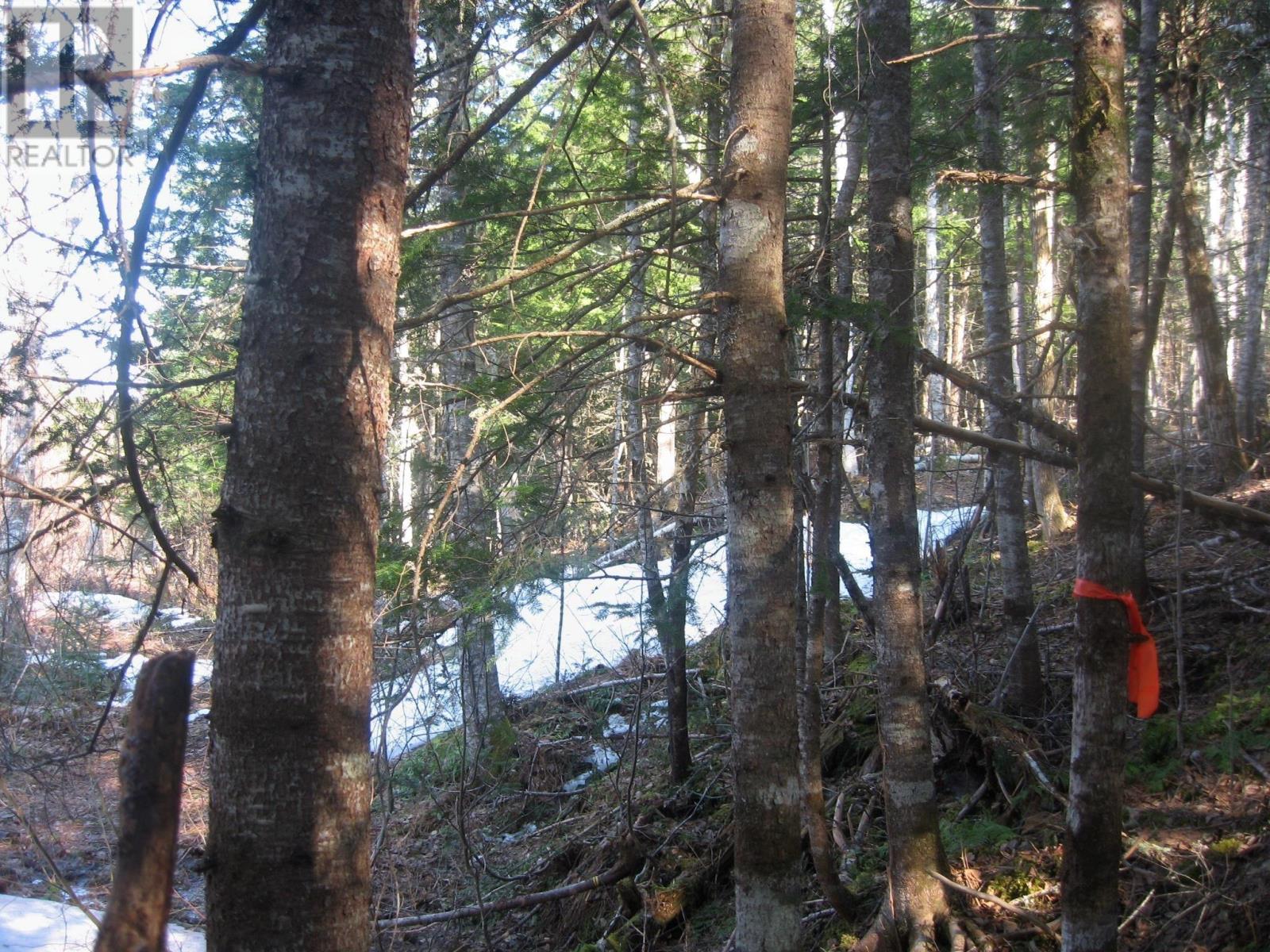 Lot 1 Hunter Road, West Wentworth, Nova Scotia  B0M 1Z0 - Photo 5 - 202502204