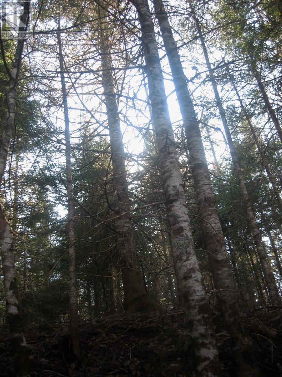 Lot 1 Hunter Road, West Wentworth, Nova Scotia  B0M 1Z0 - Photo 6 - 202502204