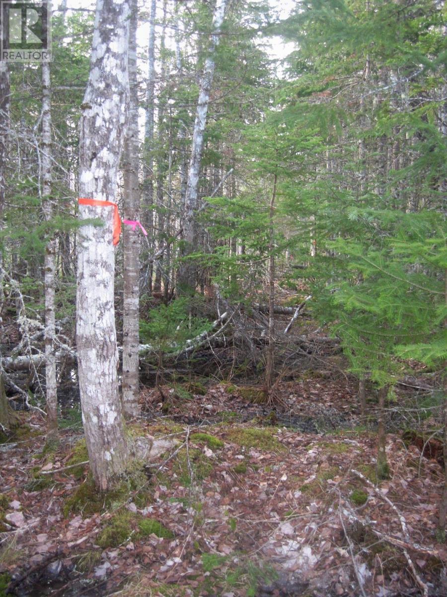 Lot 1 Hunter Road, West Wentworth, Nova Scotia  B0M 1Z0 - Photo 7 - 202502204