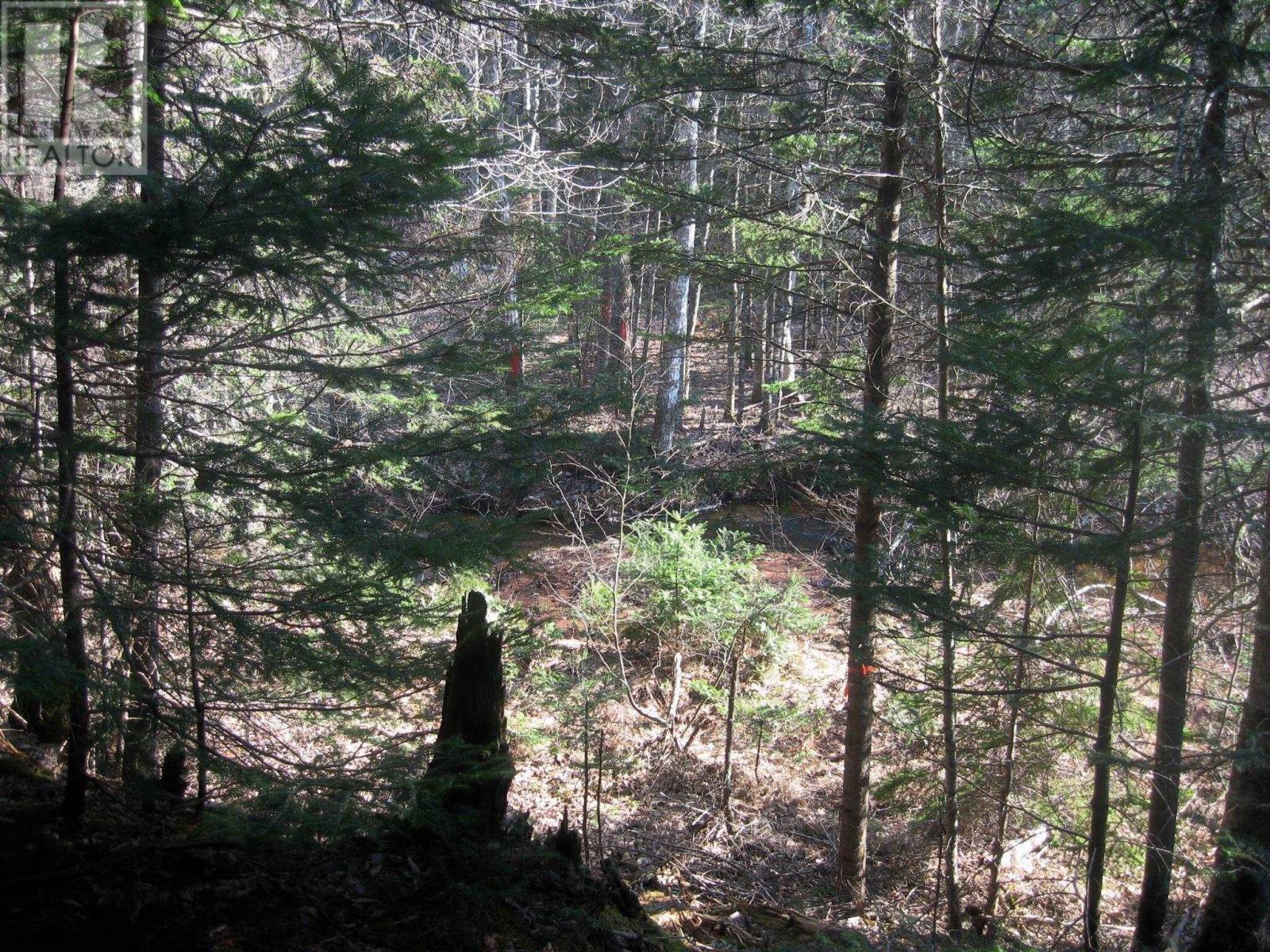 Lot 1 Hunter Road, West Wentworth, Nova Scotia  B0M 1Z0 - Photo 8 - 202502204