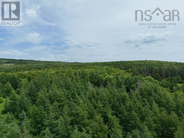 Parcel B Macleod Settlement Road, Upper Southwest Mabou, Nova Scotia  B0E 2W0 - Photo 2 - 202502397