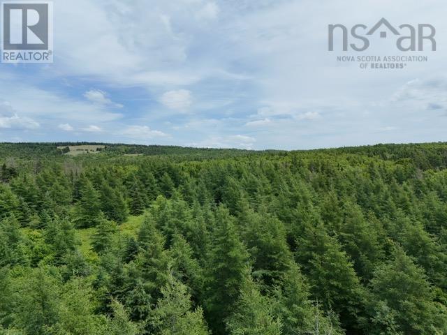 Parcel B Macleod Settlement Road, Upper Southwest Mabou, Nova Scotia  B0E 2W0 - Photo 4 - 202502397