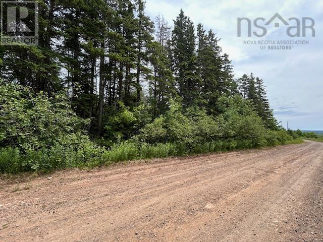 Parcel B Macleod Settlement Road, Upper Southwest Mabou, Nova Scotia  B0E 2W0 - Photo 7 - 202502397
