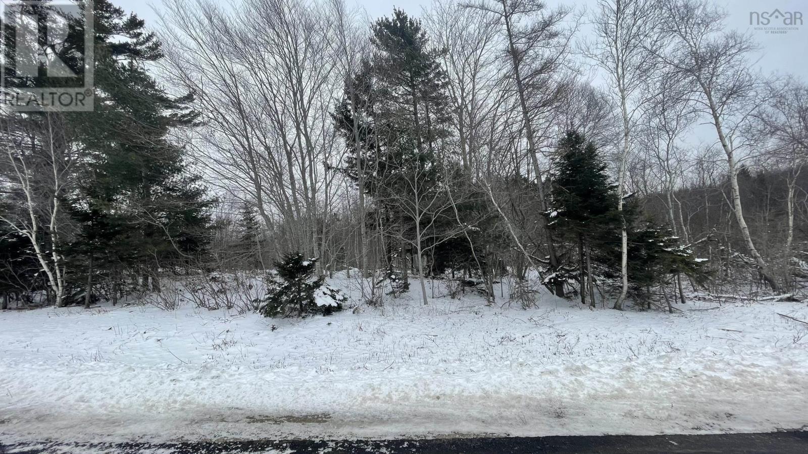 Lot 2 Jordantown Cross Road, Conway, Nova Scotia  B0V 1A0 - Photo 10 - 202502409