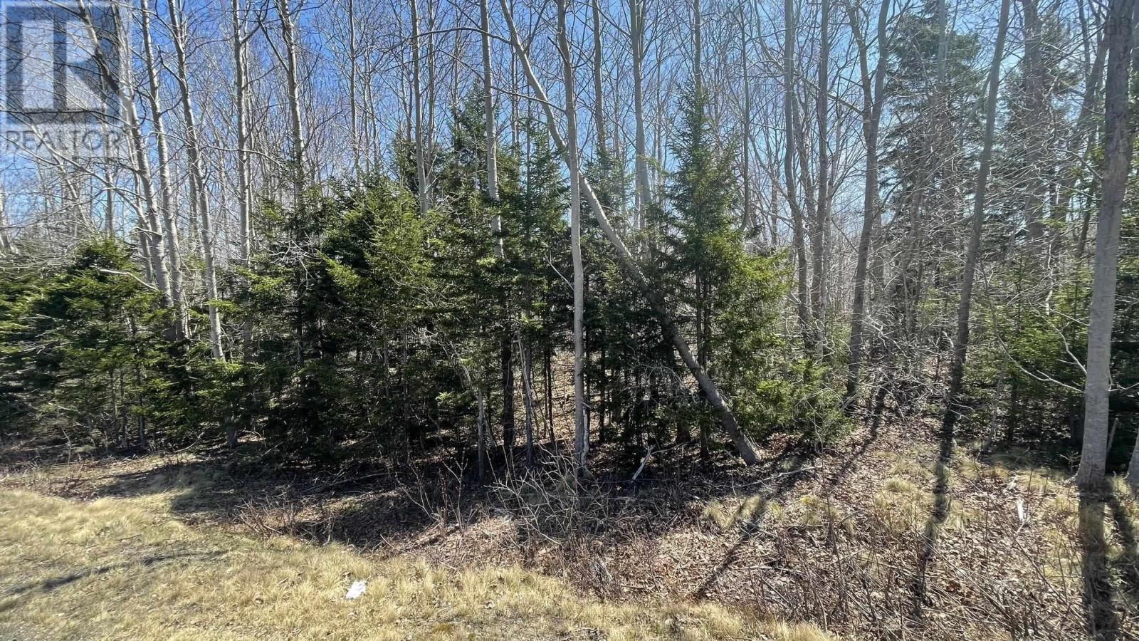 Lot 2 Jordantown Cross Road, Conway, Nova Scotia  B0V 1A0 - Photo 16 - 202502409