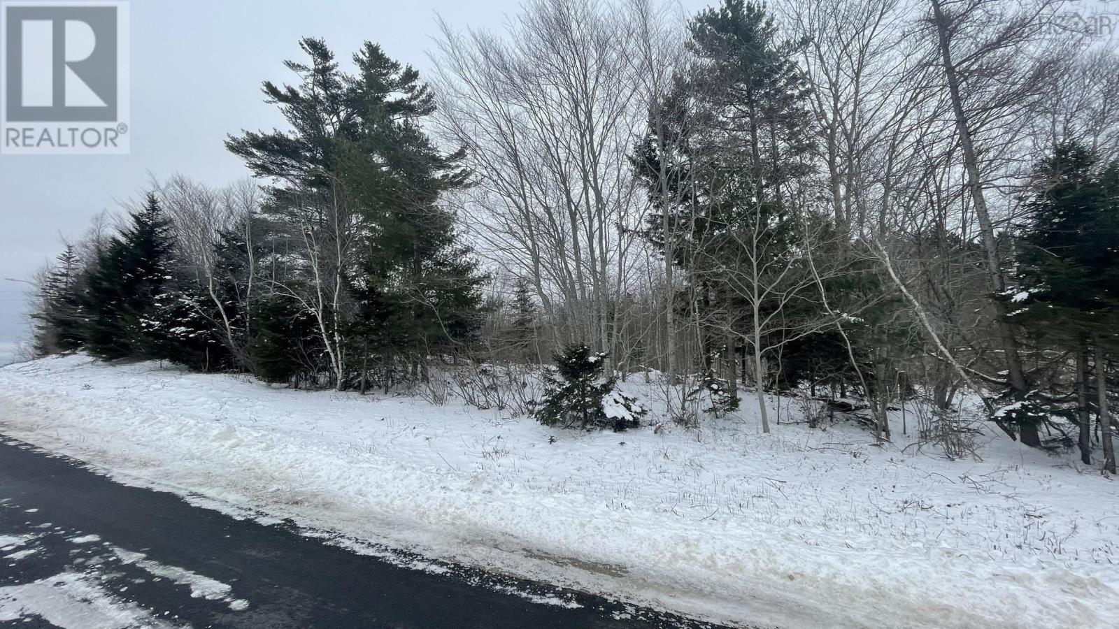 Lot 2 Jordantown Cross Road, Conway, Nova Scotia  B0V 1A0 - Photo 9 - 202502409