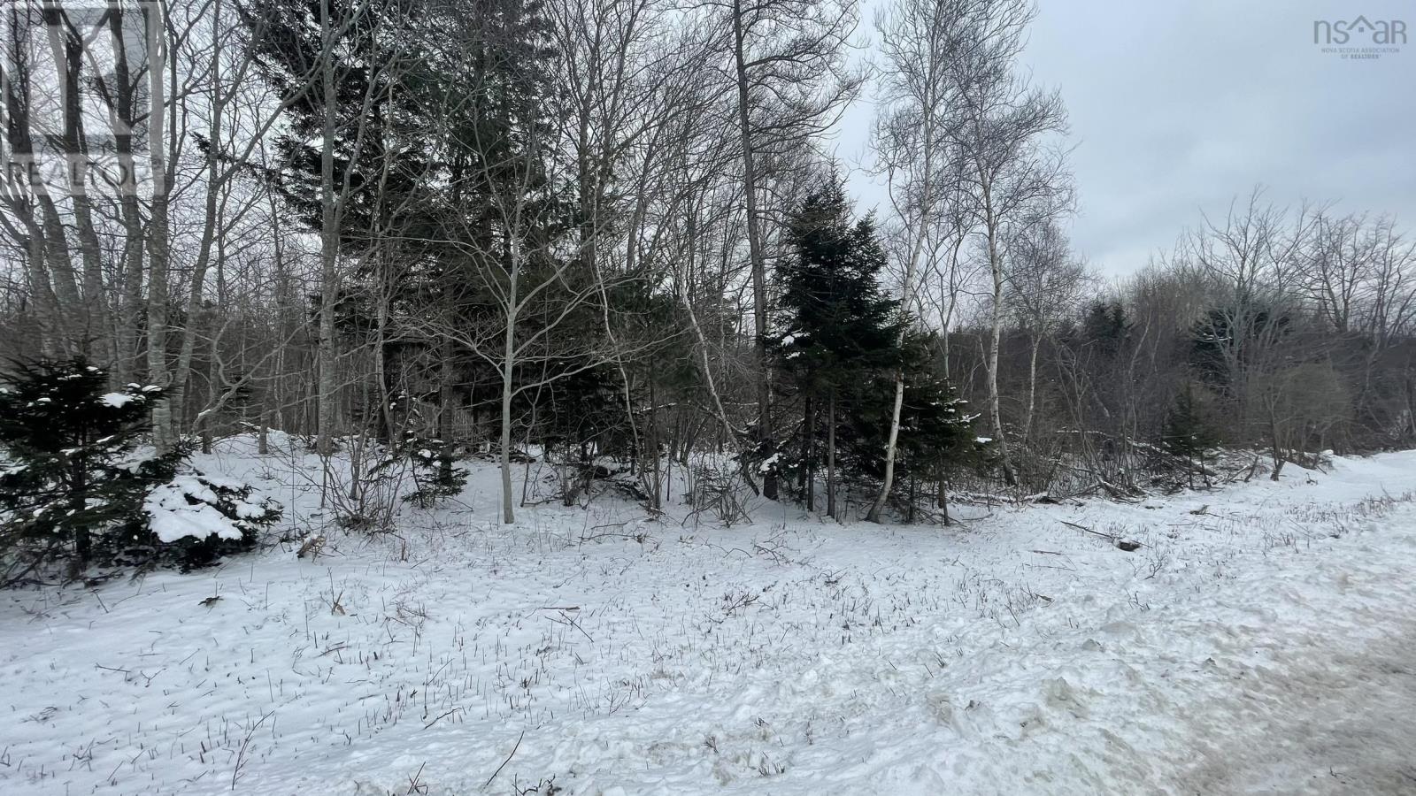 Lot 3 Jordantown Cross Road, Conway, Nova Scotia  B0V 1A0 - Photo 11 - 202502411