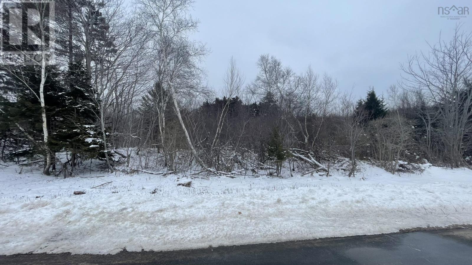 Lot 3 Jordantown Cross Road, Conway, Nova Scotia  B0V 1A0 - Photo 12 - 202502411