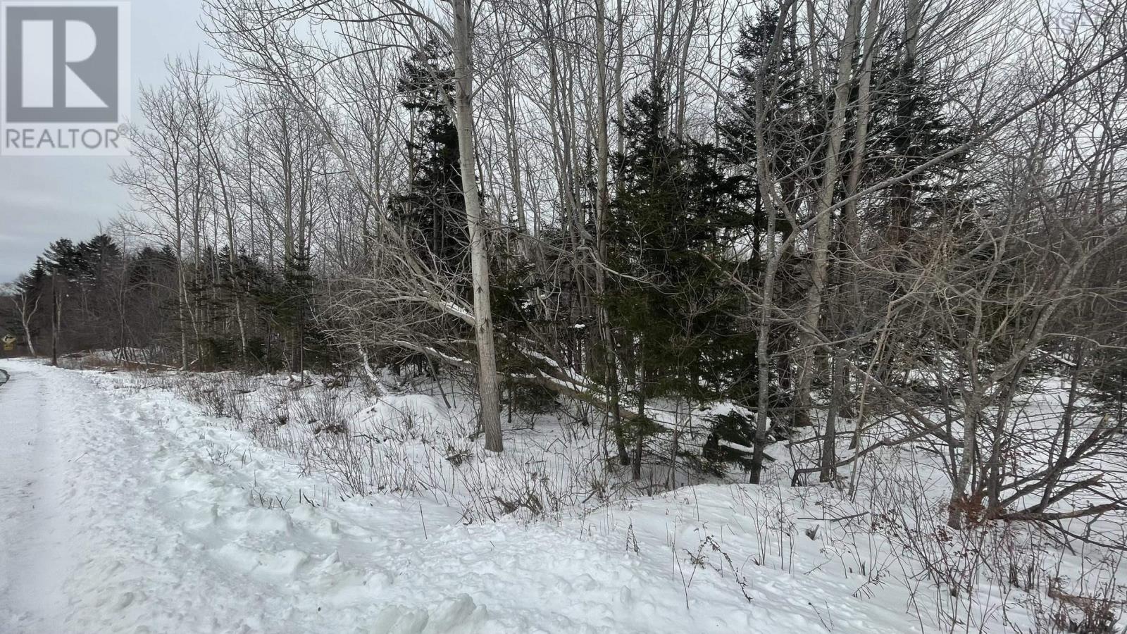 Lot 3 Jordantown Cross Road, Conway, Nova Scotia  B0V 1A0 - Photo 14 - 202502411