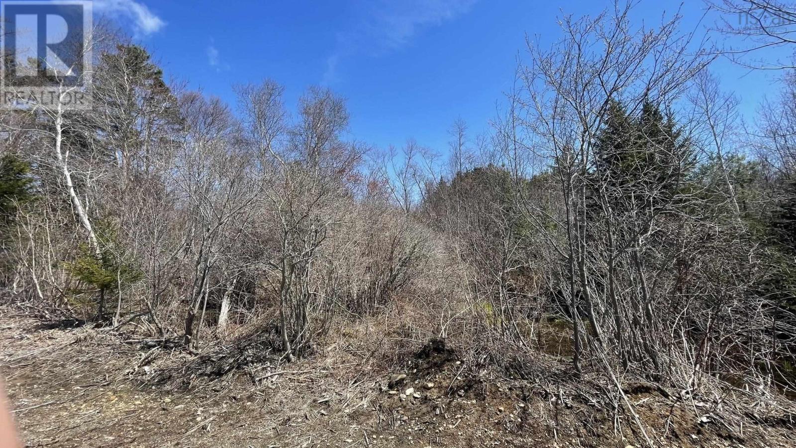 Lot 3 Jordantown Cross Road, Conway, Nova Scotia  B0V 1A0 - Photo 16 - 202502411