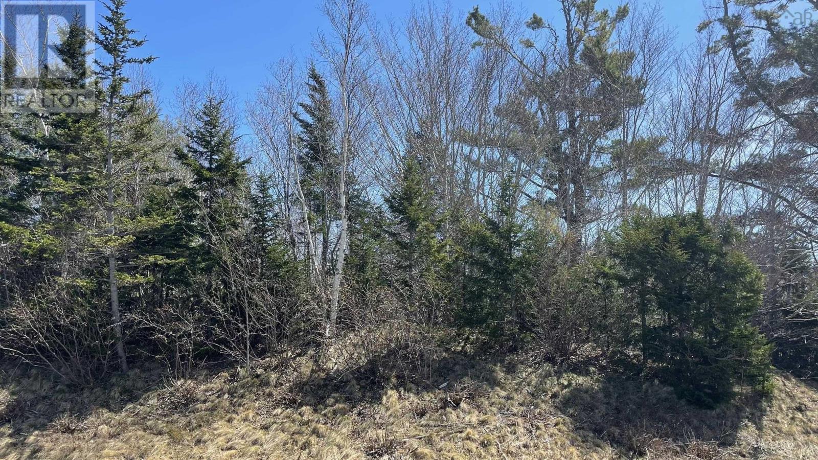 Lot 3 Jordantown Cross Road, Conway, Nova Scotia  B0V 1A0 - Photo 17 - 202502411
