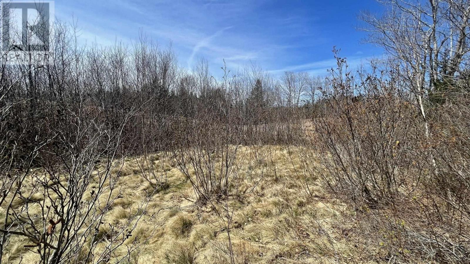 Lot 3 Jordantown Cross Road, Conway, Nova Scotia  B0V 1A0 - Photo 18 - 202502411