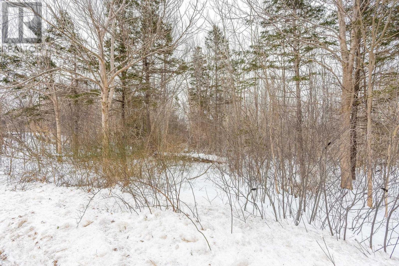 Lot 17 Granville Road, Karsdale, Nova Scotia  B0S 1A0 - Photo 28 - 202502472