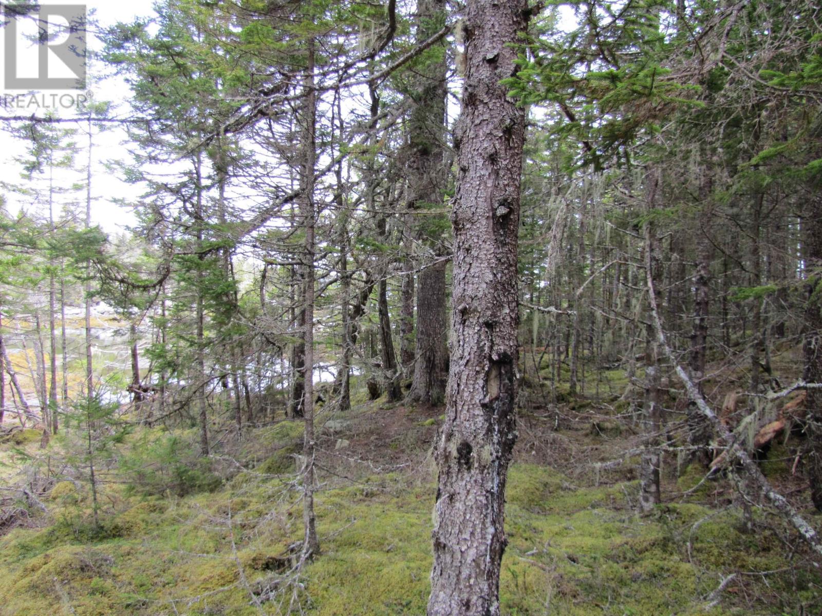Lot 5 Hirtle Island, Lahave Islands, Nova Scotia  B0R 1C0 - Photo 25 - 202502505
