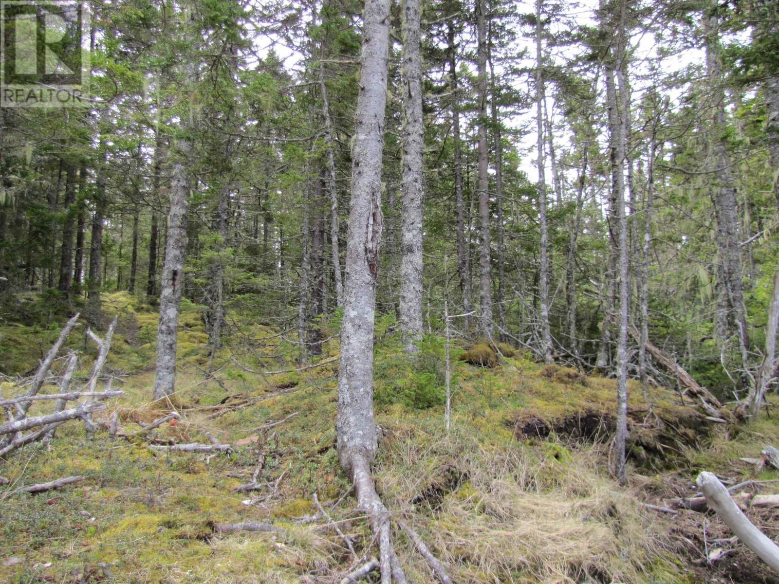 Lot 5 Hirtle Island, Lahave Islands, Nova Scotia  B0R 1C0 - Photo 27 - 202502505