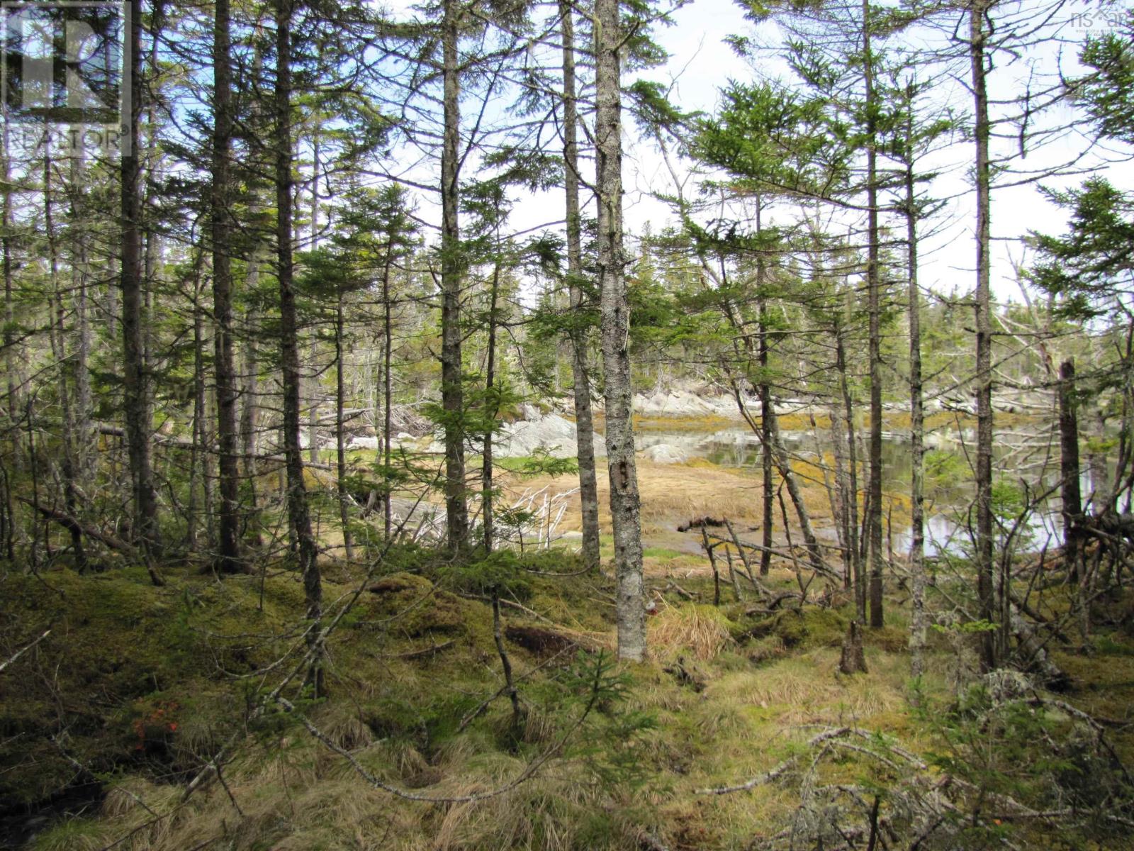 Lot 5 Hirtle Island, Lahave Islands, Nova Scotia  B0R 1C0 - Photo 28 - 202502505