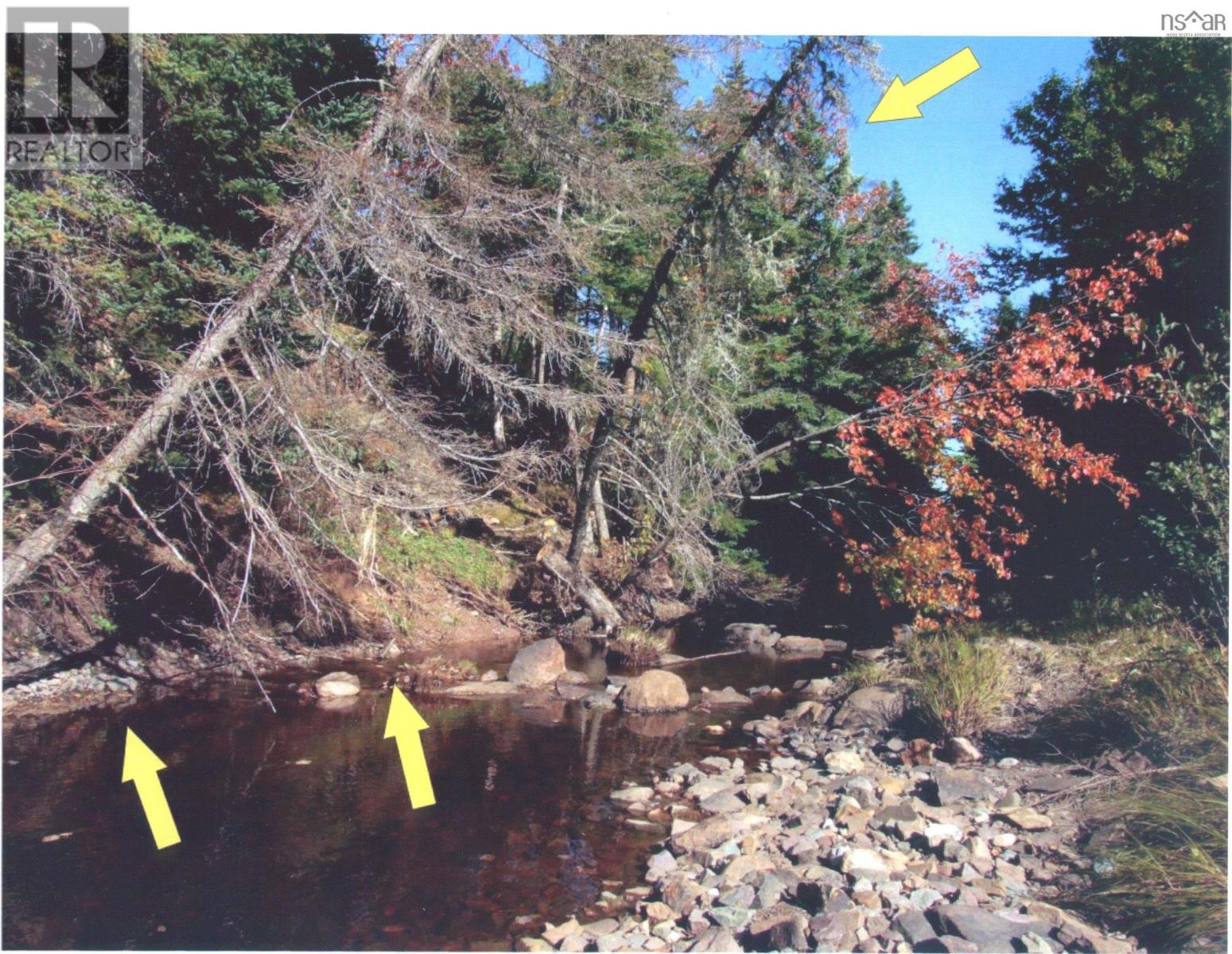 Black River Road, Grande Anse, Nova Scotia  B0V 1V0 - Photo 2 - 202502617