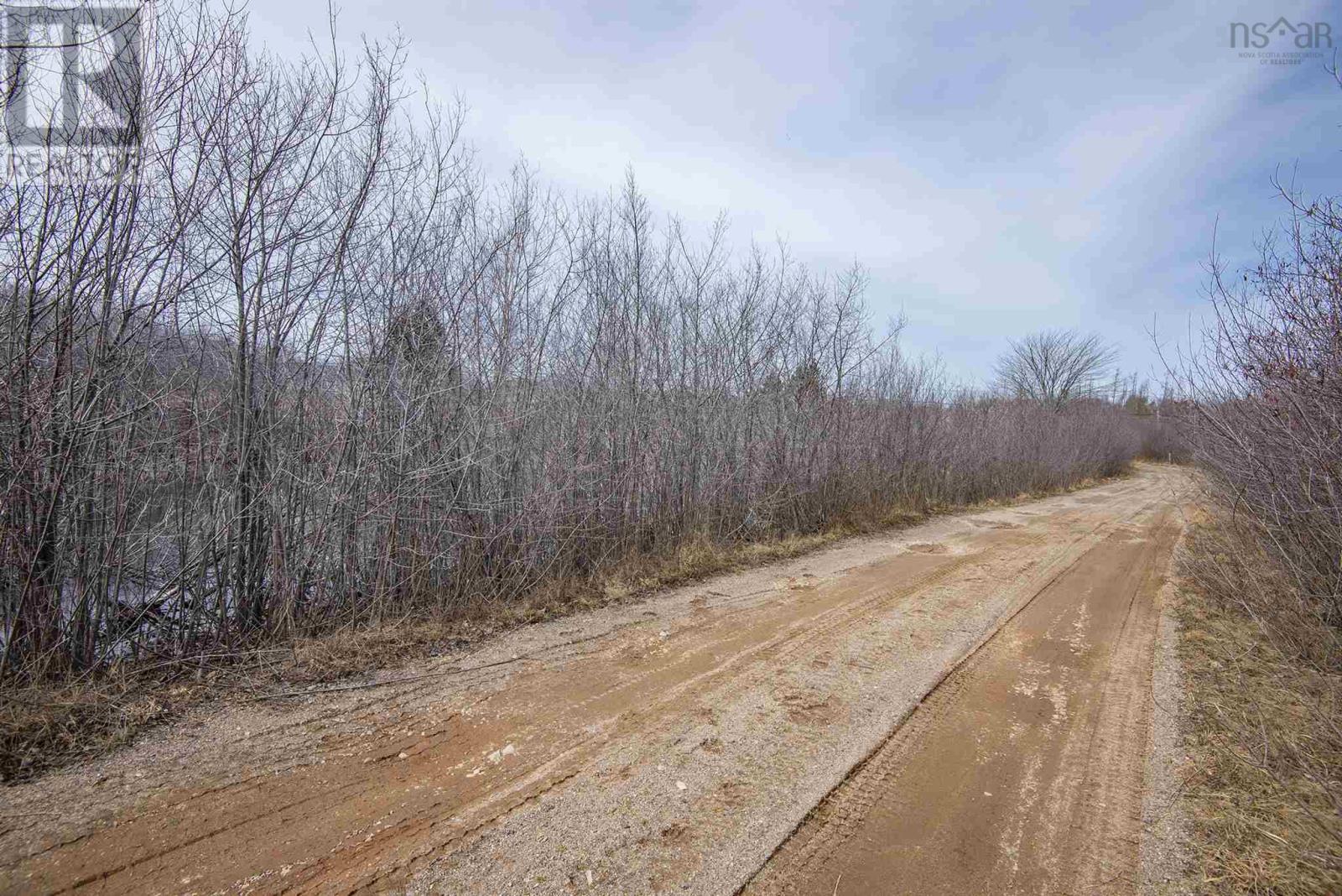 Lot Flat Iron Road, Conway, Nova Scotia  B0V 1A0 - Photo 18 - 202502660