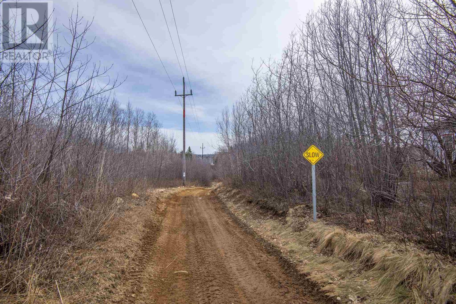 Lot Flat Iron Road, Conway, Nova Scotia  B0V 1A0 - Photo 25 - 202502660