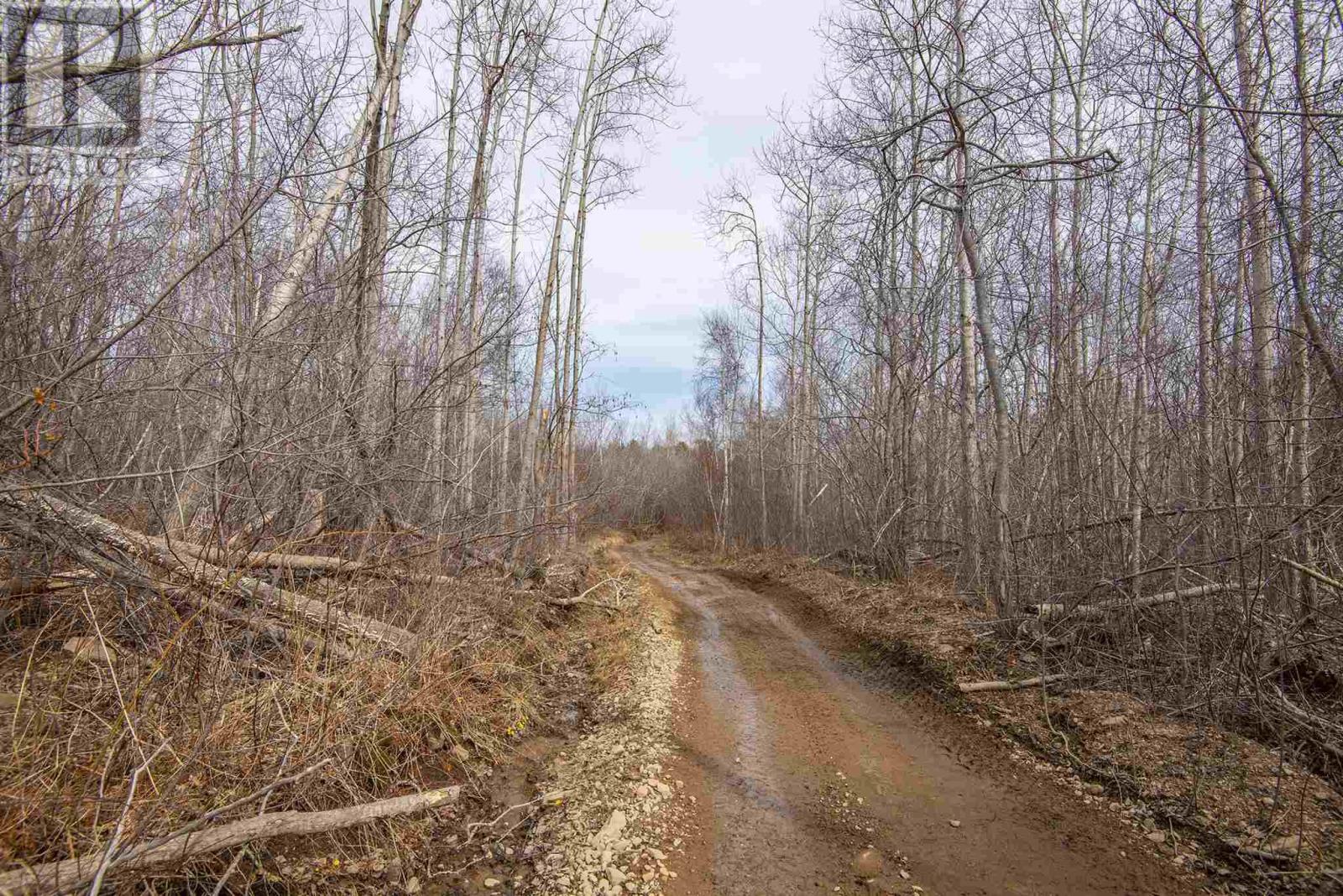 Lot Flat Iron Road, Conway, Nova Scotia  B0V 1A0 - Photo 27 - 202502660