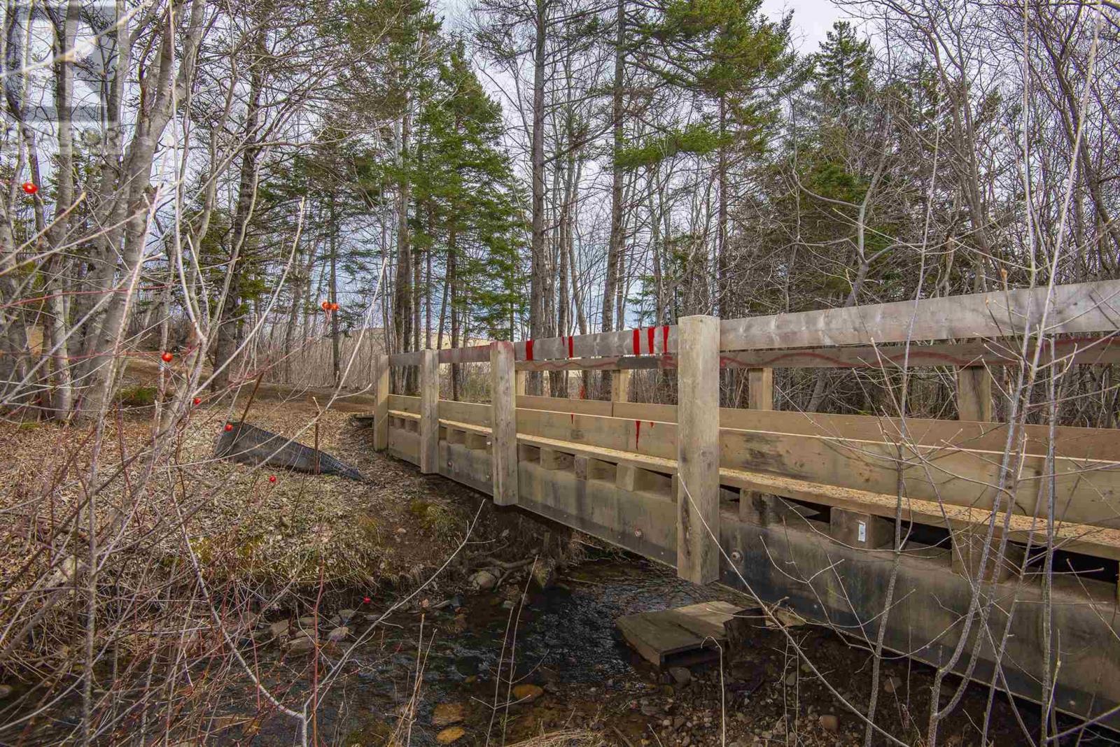 Lot Flat Iron Road, Conway, Nova Scotia  B0V 1A0 - Photo 30 - 202502660