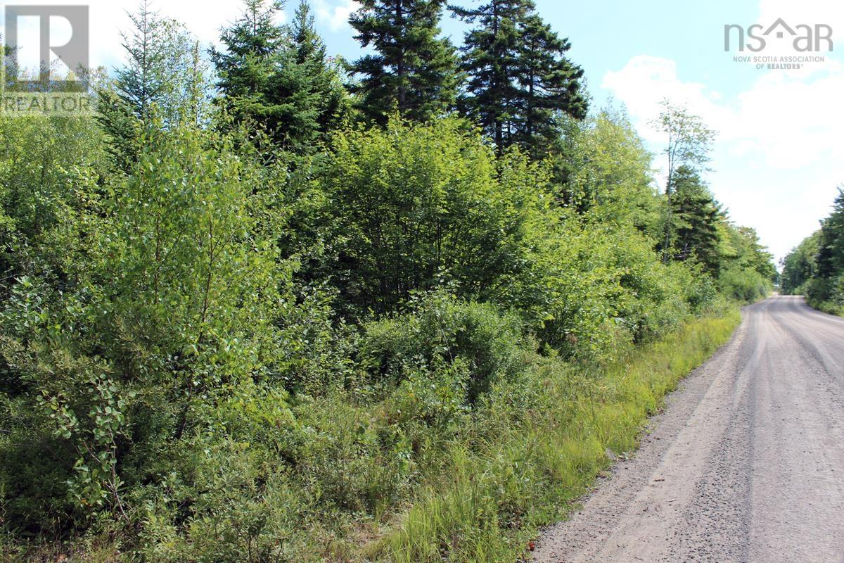 Lot 5 Trout Lake Road, New Albany, Nova Scotia  B0S 1P0 - Photo 3 - 202502669