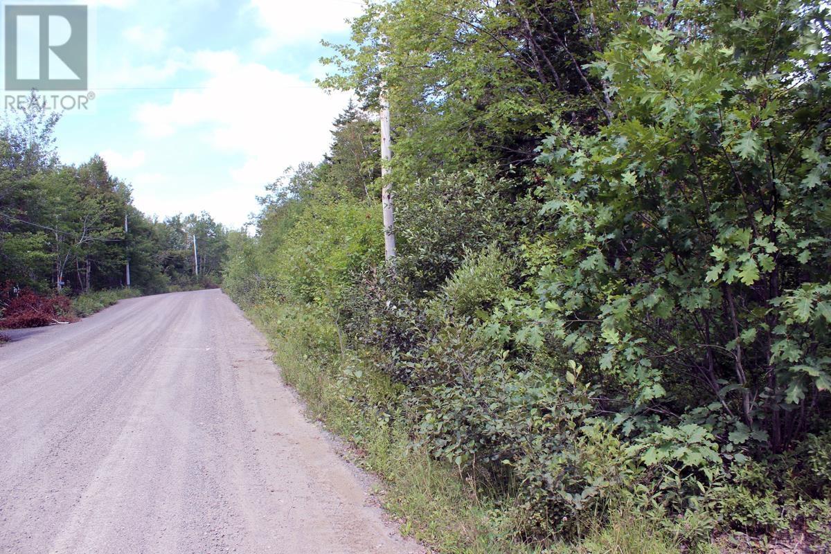 Lot 5 Trout Lake Road, New Albany, Nova Scotia  B0S 1P0 - Photo 4 - 202502669