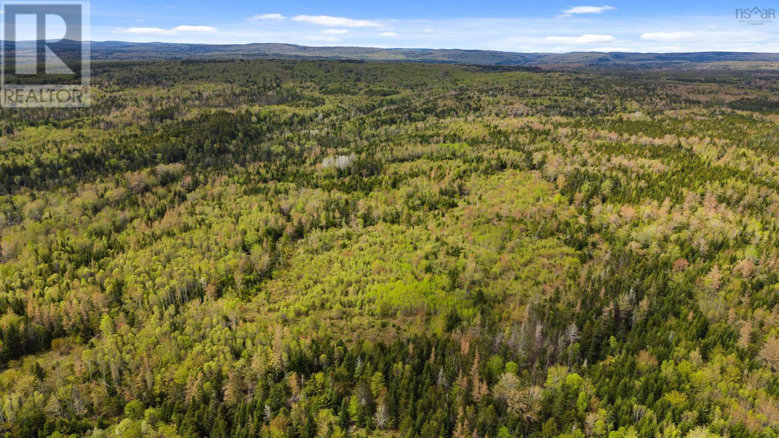 Onslow Mountain Road, Onslow Mountain, Nova Scotia  B6L 6P7 - Photo 4 - 202502705