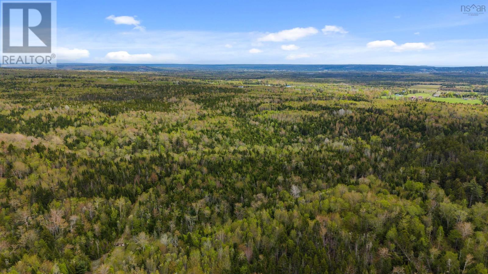 Onslow Mountain Road, Onslow Mountain, Nova Scotia  B6L 6P7 - Photo 8 - 202502705