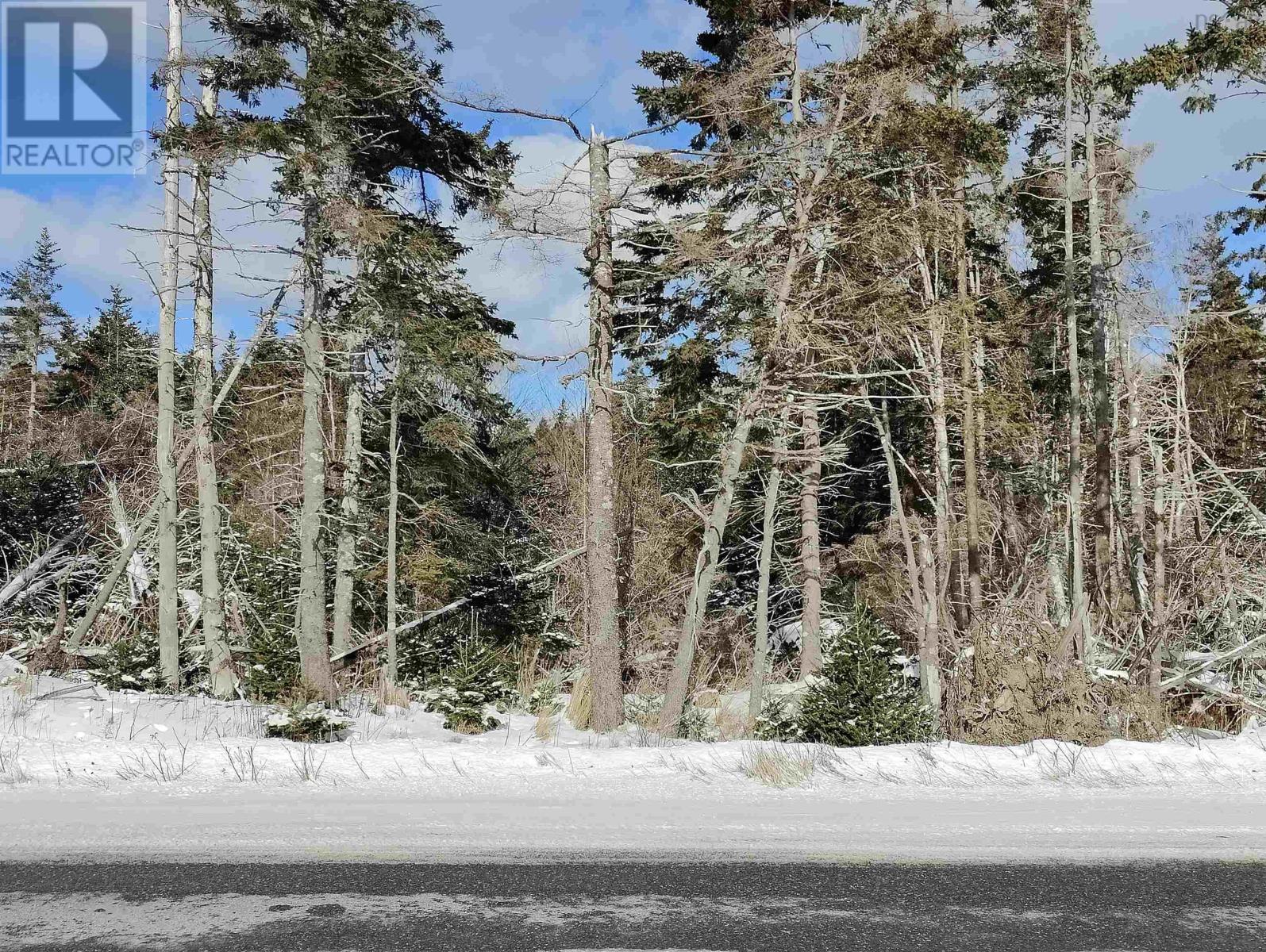 Lot 25-1 Main-A-Dieu Rd, Bateston, Nova Scotia  B1C 2A8 - Photo 7 - 202502998