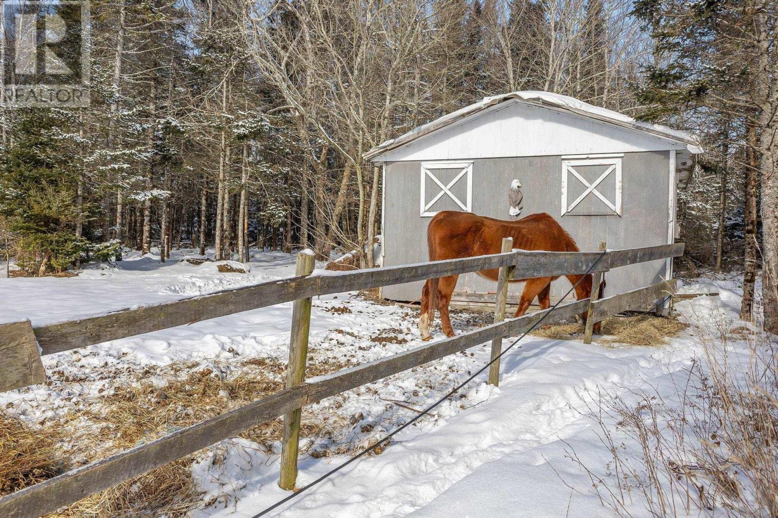 2135 Melrose Country Harbour Road, Country Harbour, Nova Scotia  B0H 1J0 - Photo 49 - 202503079