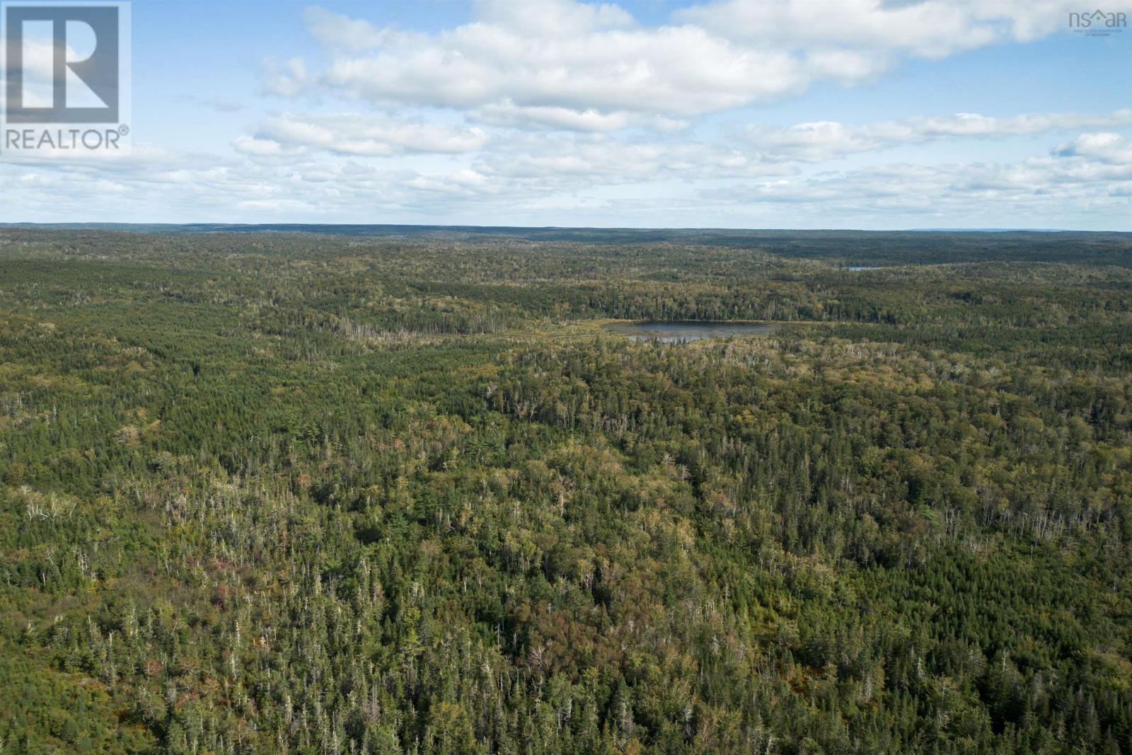 166 Acres 344 Highway, Manassette Lake, Nova Scotia  B0E 2G0 - Photo 14 - 202503135