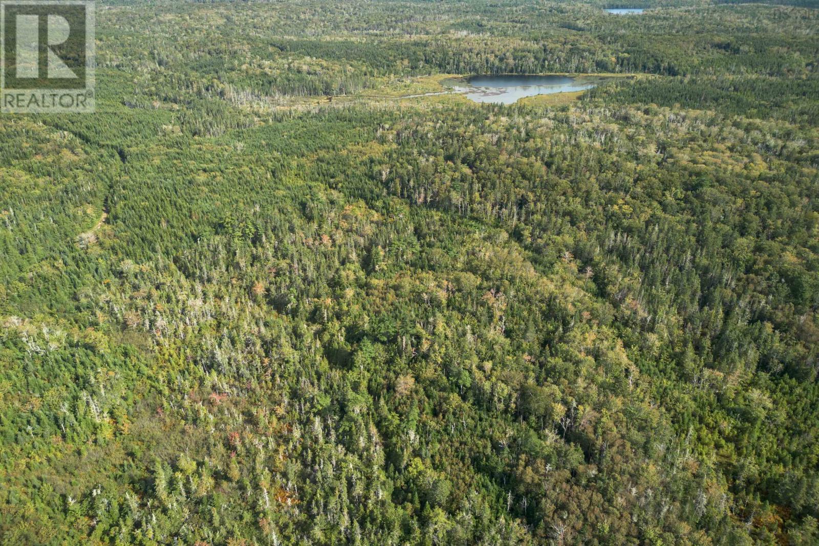 166 Acres 344 Highway, Manassette Lake, Nova Scotia  B0E 2G0 - Photo 17 - 202503135
