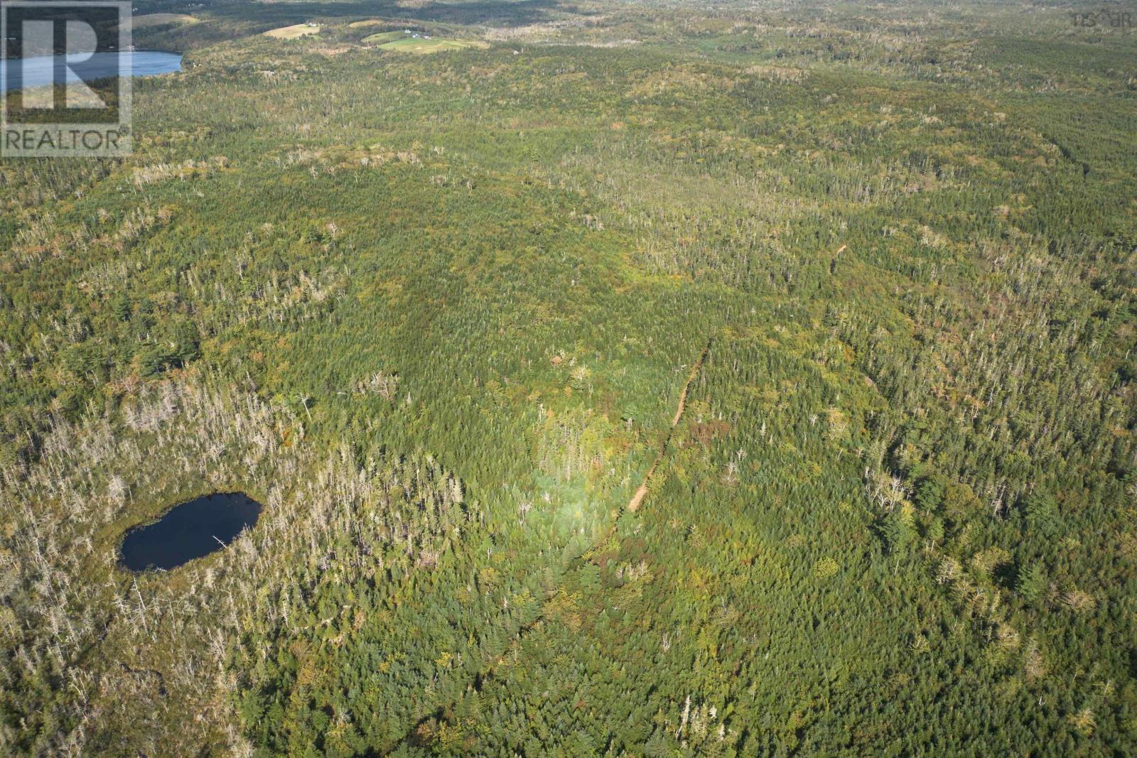 166 Acres 344 Highway, Manassette Lake, Nova Scotia  B0E 2G0 - Photo 4 - 202503135