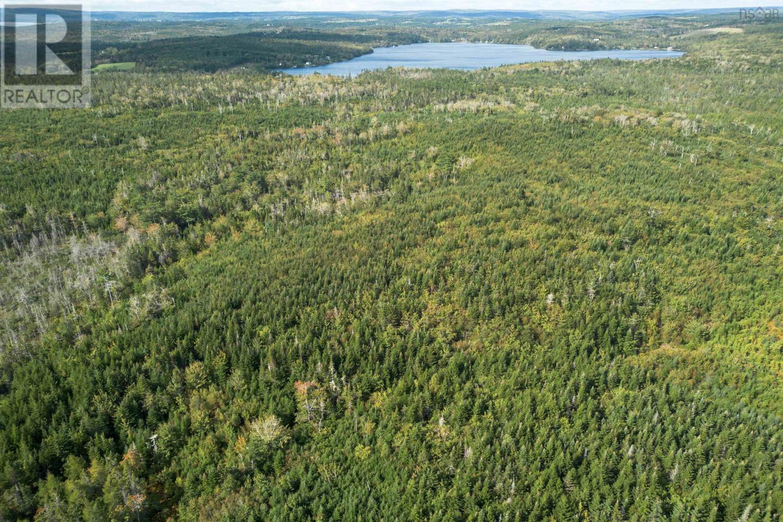 166 Acres 344 Highway, Manassette Lake, Nova Scotia  B0E 2G0 - Photo 8 - 202503135