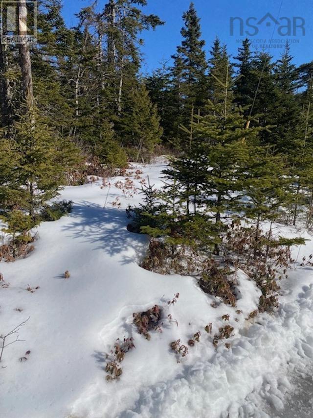 125 Brans Way, williamswood, Nova Scotia