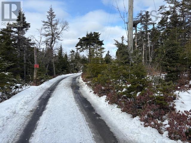 125 Brans Way, Williamswood, Nova Scotia  B3V 1T1 - Photo 10 - 202503193