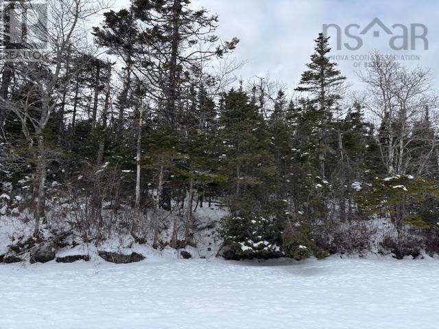 125 Brans Way, Williamswood, Nova Scotia  B3V 1T1 - Photo 18 - 202503193