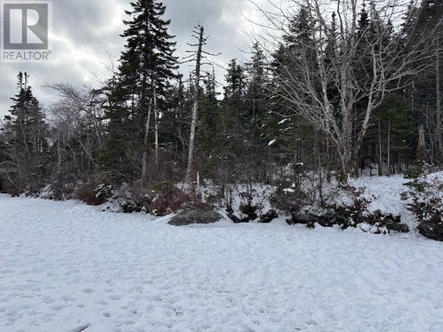 125 Brans Way, Williamswood, Nova Scotia  B3V 1T1 - Photo 21 - 202503193