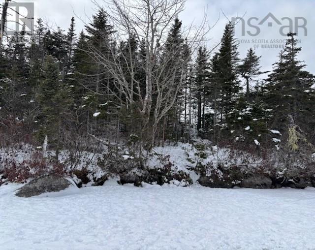 125 Brans Way, Williamswood, Nova Scotia  B3V 1T1 - Photo 22 - 202503193