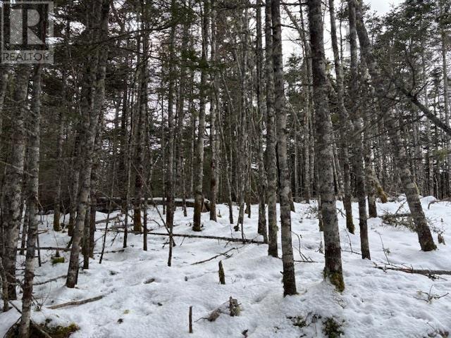 125 Brans Way, Williamswood, Nova Scotia  B3V 1T1 - Photo 25 - 202503193