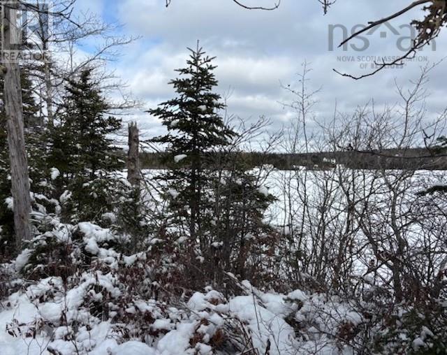 125 Brans Way, Williamswood, Nova Scotia  B3V 1T1 - Photo 28 - 202503193