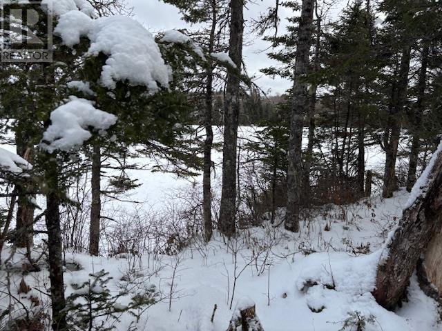 125 Brans Way, Williamswood, Nova Scotia  B3V 1T1 - Photo 29 - 202503193