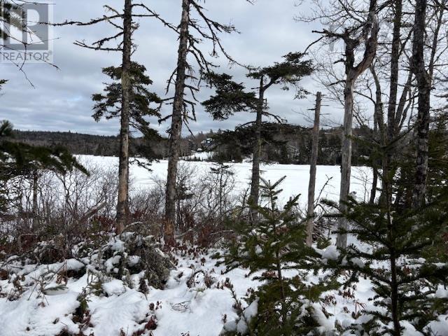 125 Brans Way, Williamswood, Nova Scotia  B3V 1T1 - Photo 30 - 202503193