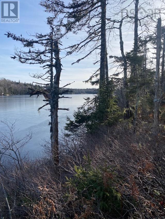 125 Brans Way, Williamswood, Nova Scotia  B3V 1T1 - Photo 31 - 202503193