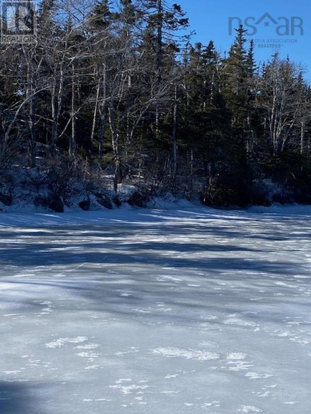 125 Brans Way, Williamswood, Nova Scotia  B3V 1T1 - Photo 6 - 202503193