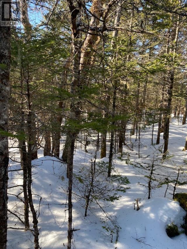 125 Brans Way, Williamswood, Nova Scotia  B3V 1T1 - Photo 8 - 202503193