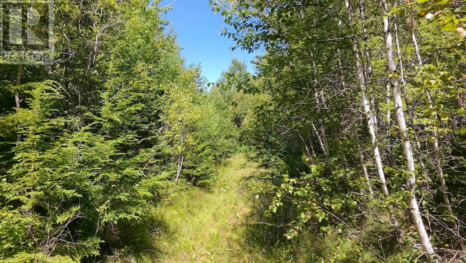 Little Harbour Road, Frasers Mountain, Nova Scotia  B2H 3S9 - Photo 1 - 202503385