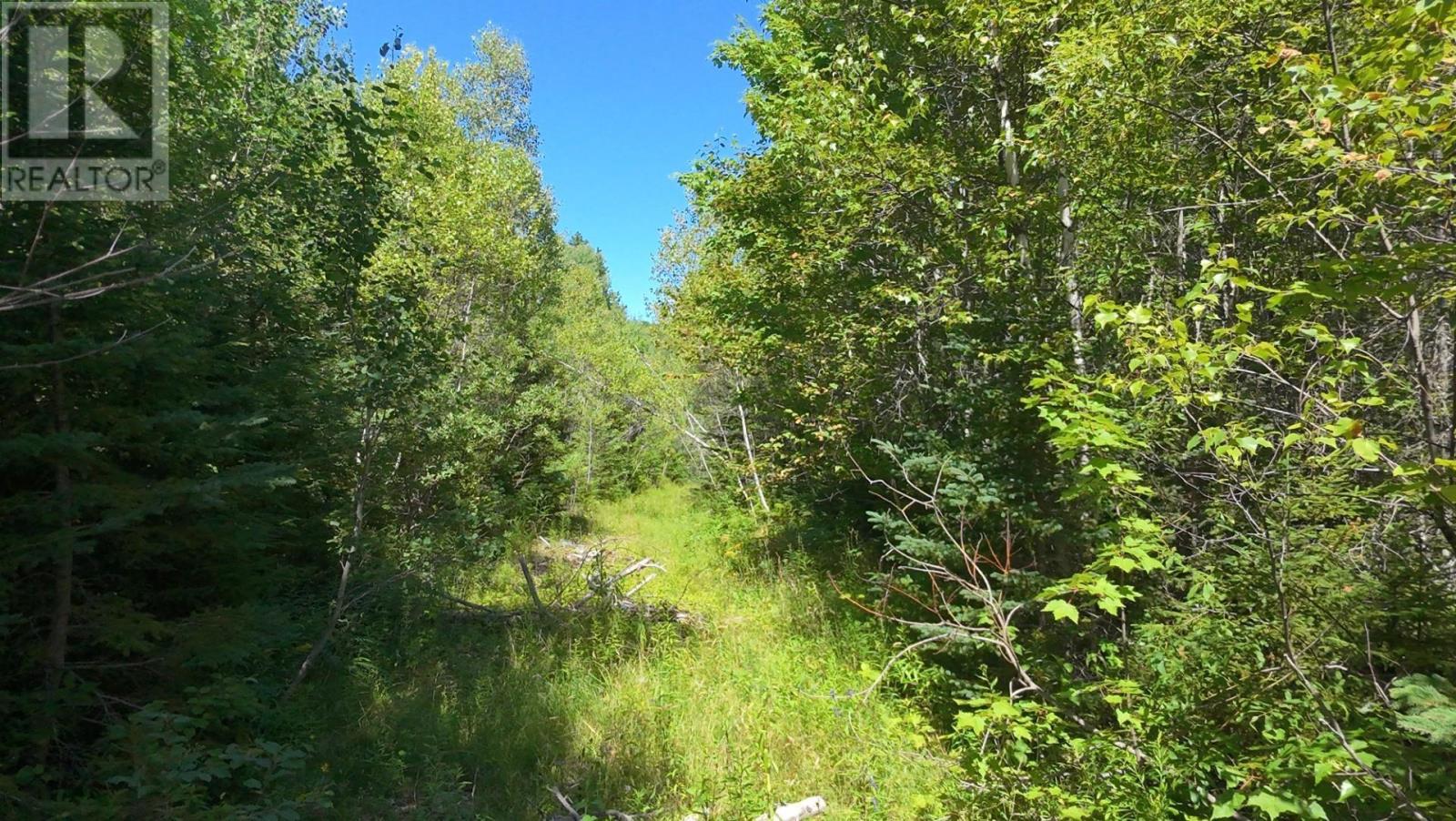 Little Harbour Road, Frasers Mountain, Nova Scotia  B2H 3S9 - Photo 2 - 202503385