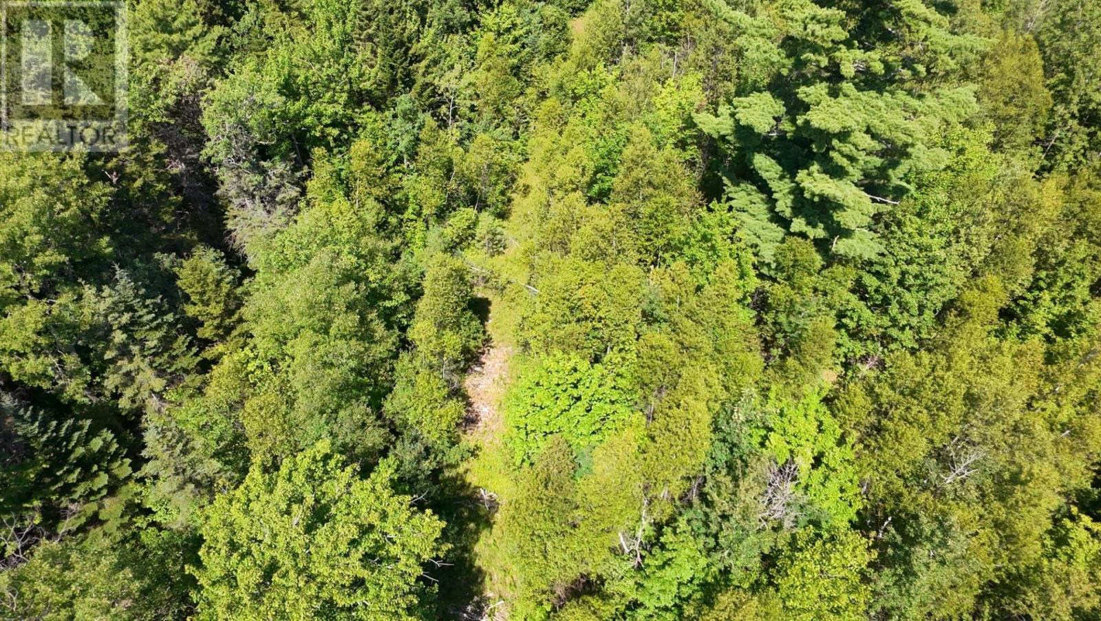 Little Harbour Road, Frasers Mountain, Nova Scotia  B2H 3S9 - Photo 8 - 202503385